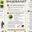 Памятка про профилактике укусов клещей - Городская поликлиника №60