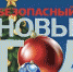 МЧС о правилах безопасности в дни празднования Нового года - Новости Пушкинского района