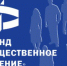 Фонд «Общественное мнение» провел поквартирный опрос 1500 российских респондентов - Новости Пушкинского района