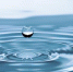 Уведомление об инициативном переводе многоквартирных домов на прямые договоры с собственниками жилья Пушкинского района - Новости Пушкинского района
