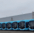 Обновлен подвижной состав на 9 автобусных маршрутах Пушкинского и Колпинского районов Петербурга - Новости Пушкинского района
