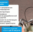 Петербуржцы могут повлиять на развитие будущих городских велосипедных маршрутов - Новости Пушкинского района