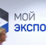 Экспортные лицензии теперь можно получить онлайн - Новости Пушкинского района